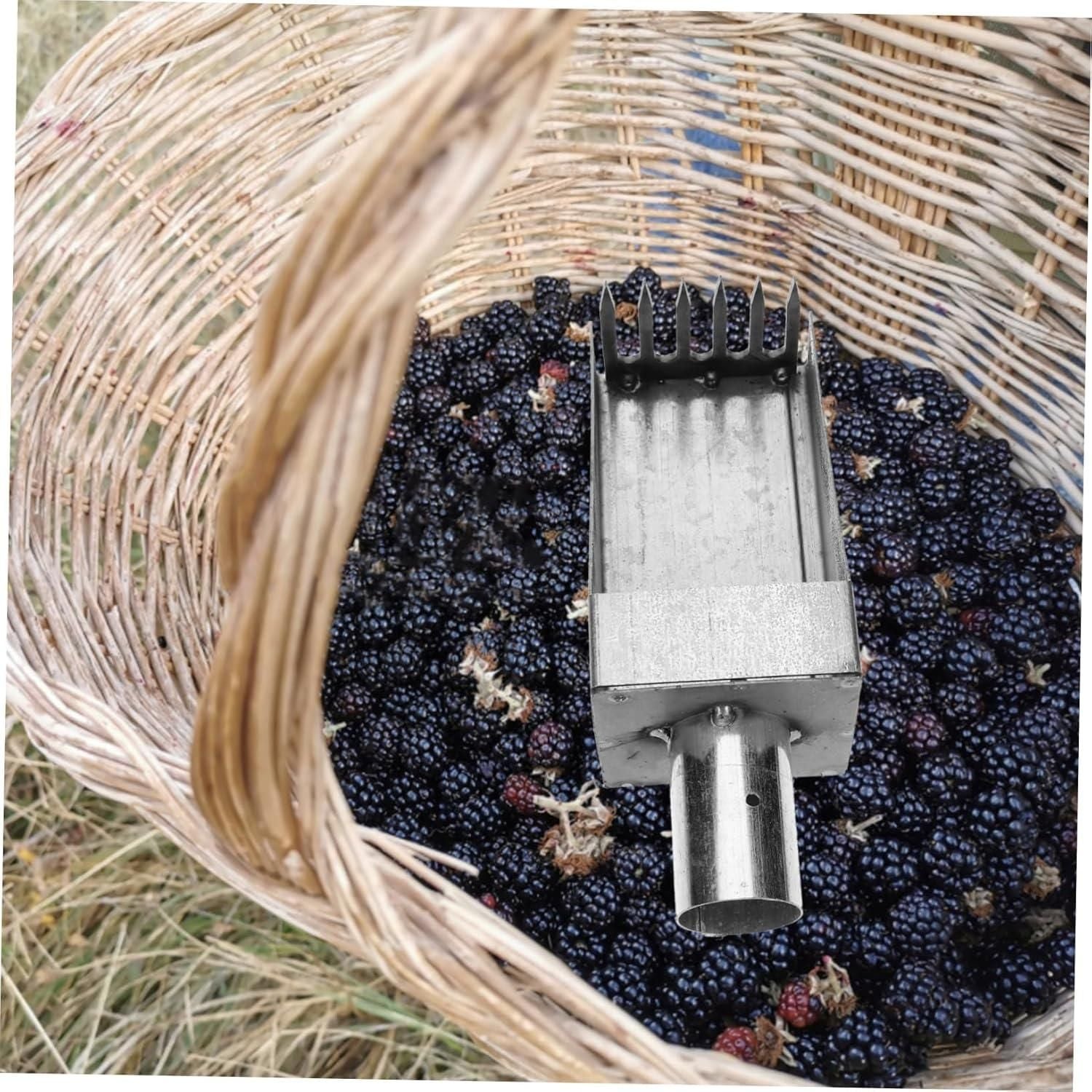 Silver Fruit Picker Tool - AVIKARLO