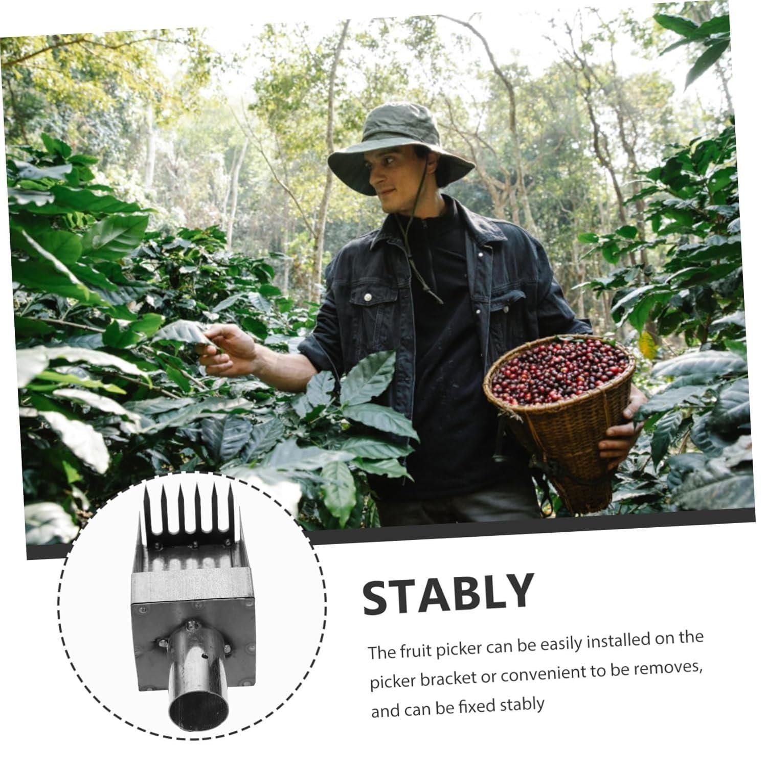 Silver Fruit Picker Tool - AVIKARLO